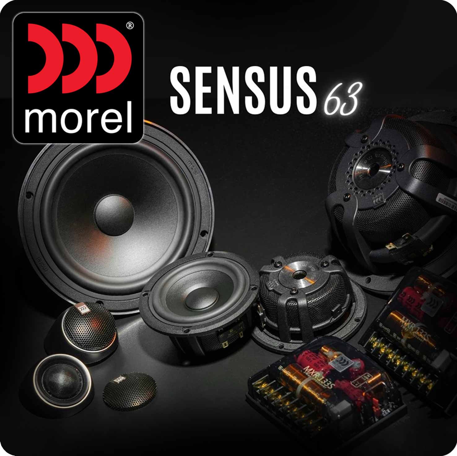 morel sensus 63